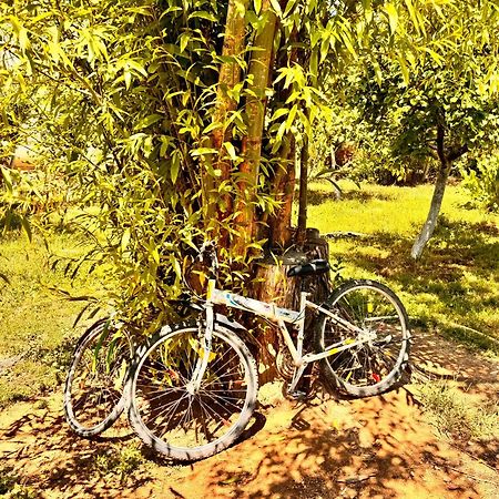 Eco House Summer Garden Kaji-Say Dış mekan fotoğraf